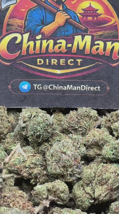 #FK151 - Mango Berry (Hybrid)