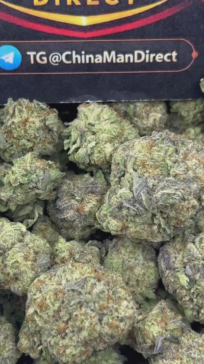 #B-EB019 - GMO Cookies (Indica)