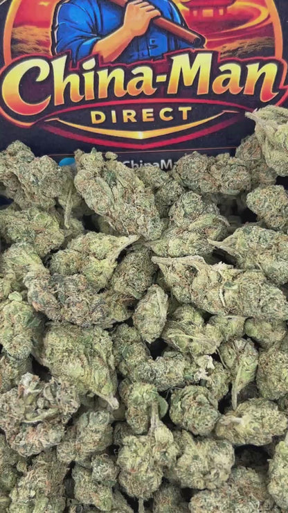 #B-EA020 - Pineapple Sherbet(Hybrid)