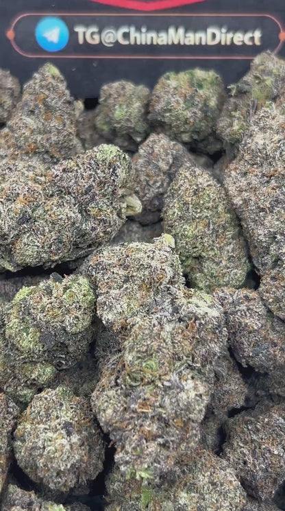 #N-CM1121 - Blue Cookiez (Hybrid)