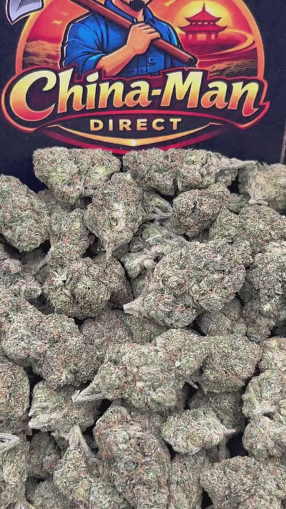 #B-EA020 - Mango Fever (Hybrid)