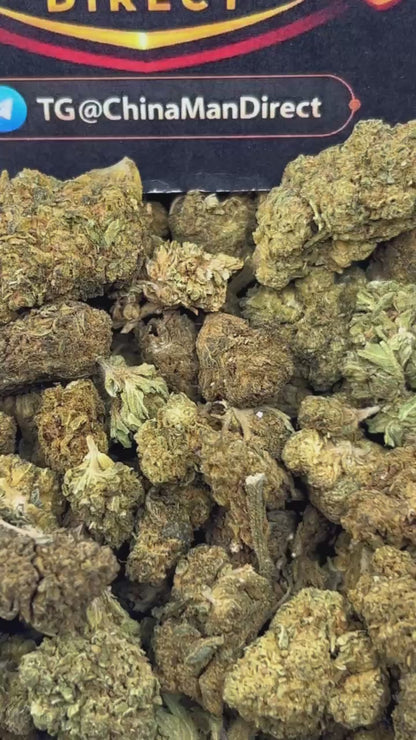 #B-EC009 - Blue Dream (Hybrid)