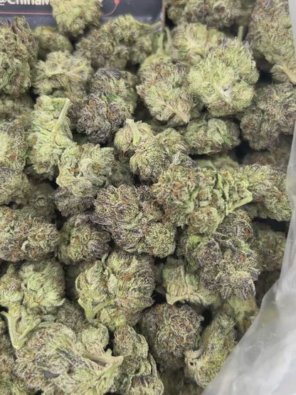 #N-EB287 - Blueberry Drip (Hybrid)