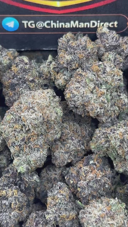 #N-CM1221 - Cake Batter (Hybrid)