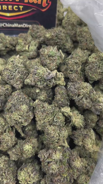 #N-EB307 - Lemon Sherbet (Hybrid)