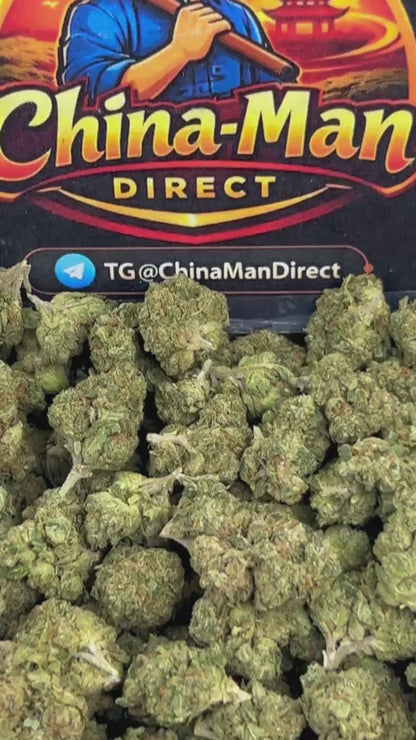 #B-EC031 - Lemon Diesel (Indica)