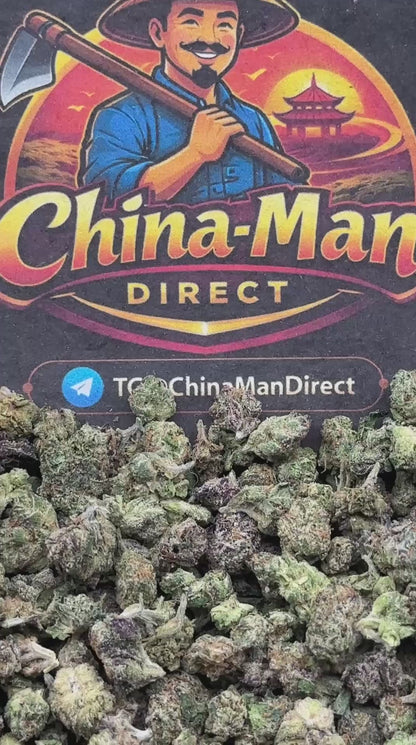 #SS518 - Lemon Cherry SM (Hybrid)