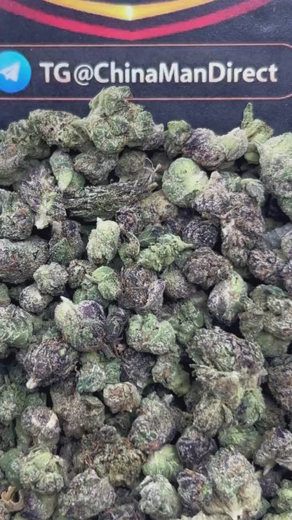 #N-ECS334 - Grape Slush SM (Hybrid)
