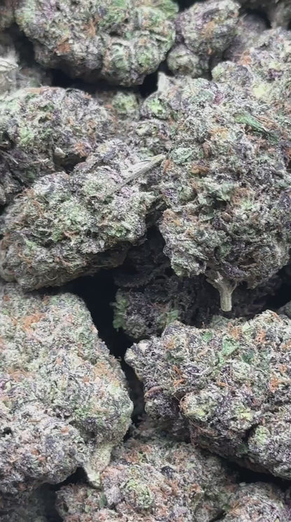 #EA615 - Vanilla Frost (Hybrid)
