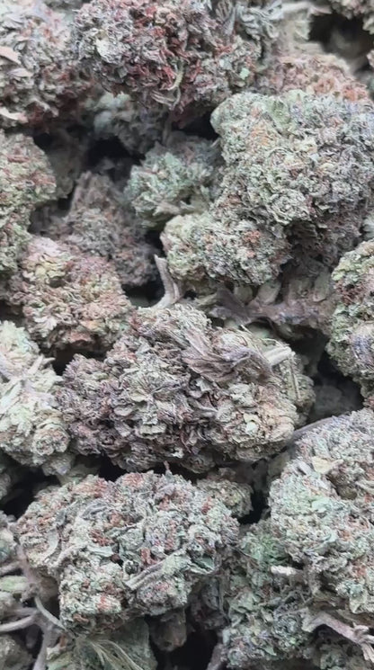 #FK155 - Guava Punch (Hybrid)
