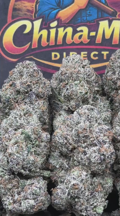 #IN600 - Berry Sovereign (Hybrid)