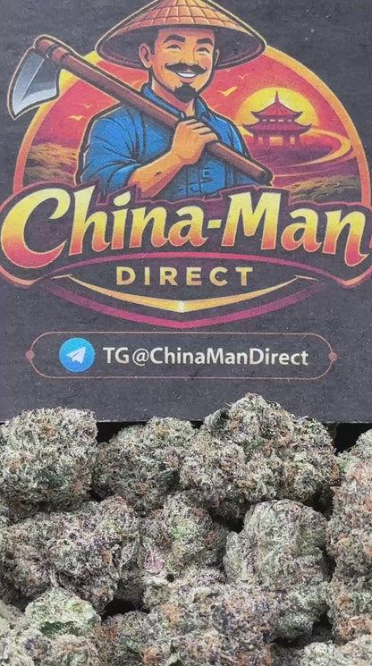 #RAP726 - Diamond Gelato (Hybrid)