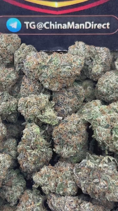 #N-EA745 - Sweet Cream (Hybrid)