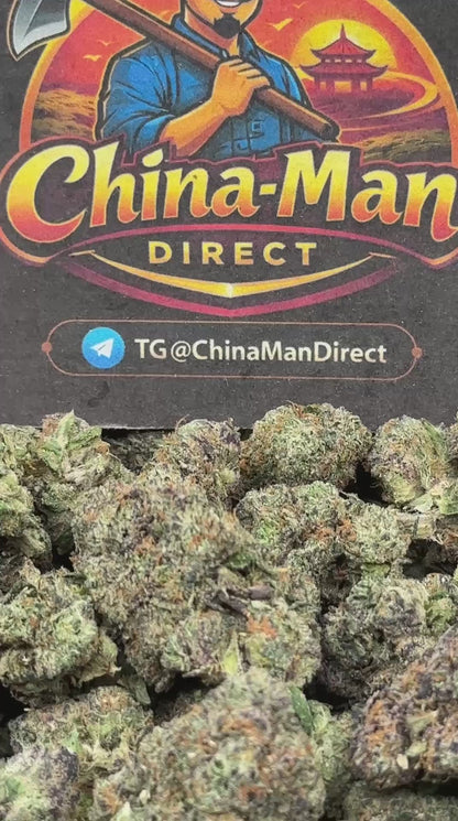 #EA604 - Tropical Bliss (Hybrid)