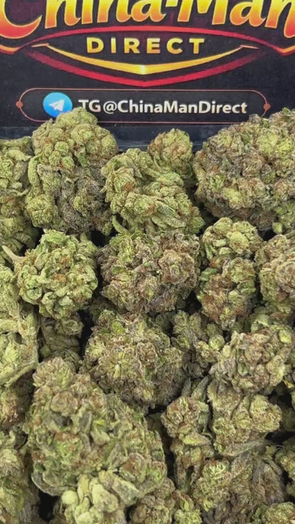 #N-EB309 - Lemon Loaf (Hybrid)