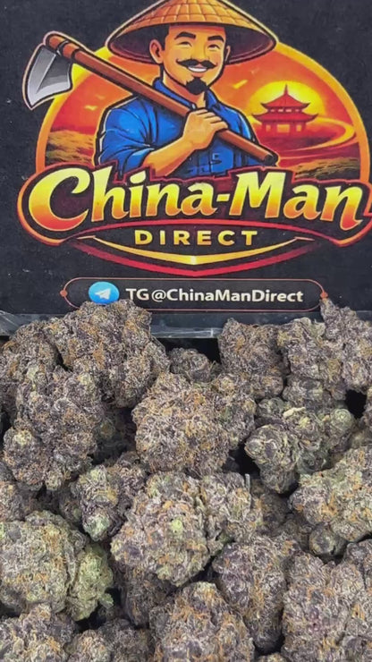 #N-CM1425 - Rainbow Sherbet (Hybrid)