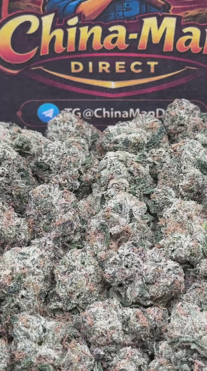 #KAM307 - Wonder Bread (Hybrid)