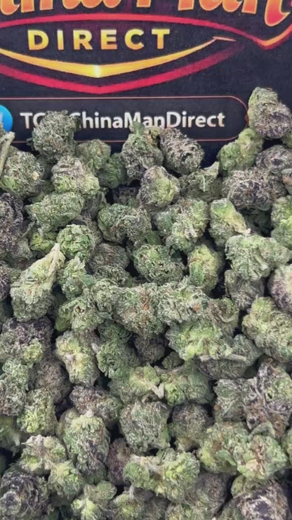 #N-ECS359 - Papaya Blaze SM (Hybrid)