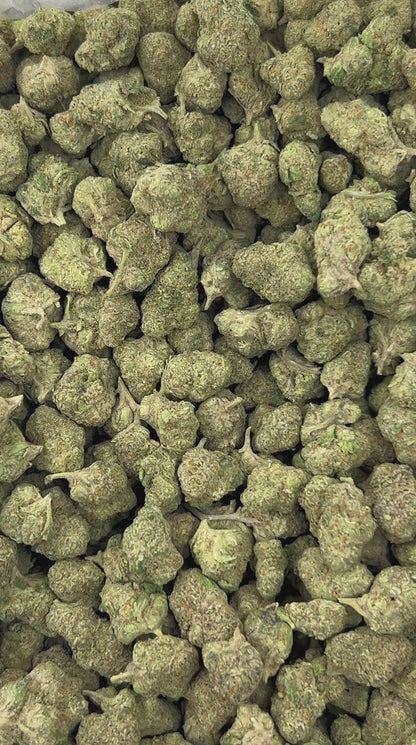 #B-ECS009 - Apple Pie SM (Hybrid)