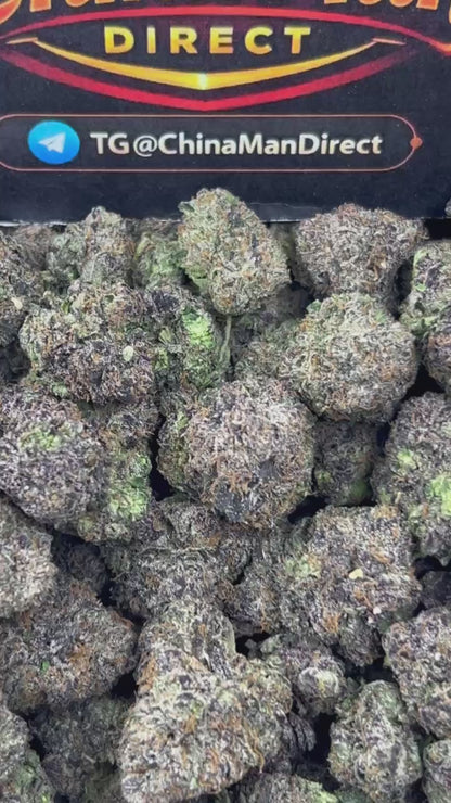 #N-CM1223 - Sherbert (Hybrid)