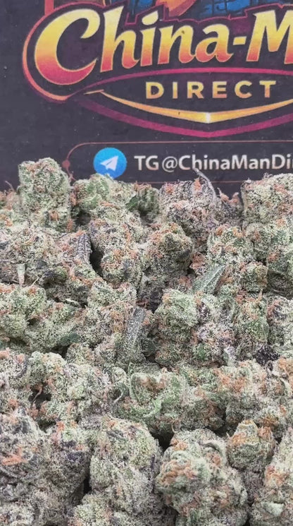 #KAM316 - Cookie Cream SM (Hybrid)