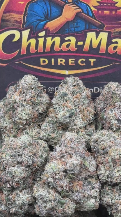 #EA372 - Golden Lime Burst (Hybrid)