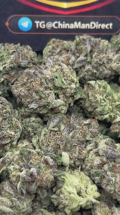 #N-EB243 - Ice Cream Cake (Sativa)