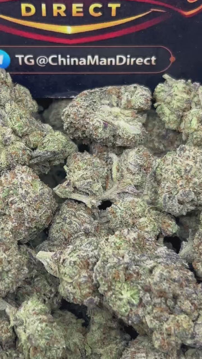 #B-EB021 - Frozen Berries (Hybrid)