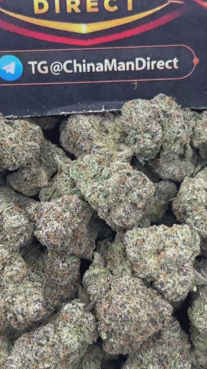 #B-EX035 - White Cherry Blaze (Hybrid)