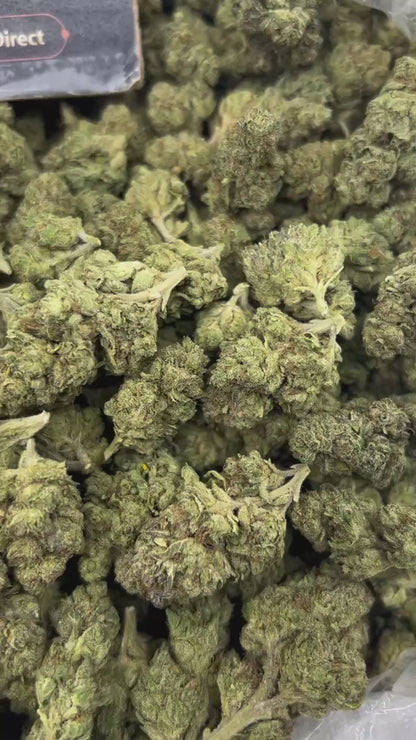 #N-EB294 - Pink Panties (Hybrid)