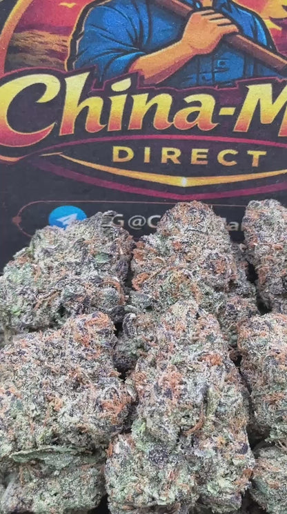 #EA386 - Mango Supreme (Hybrid)