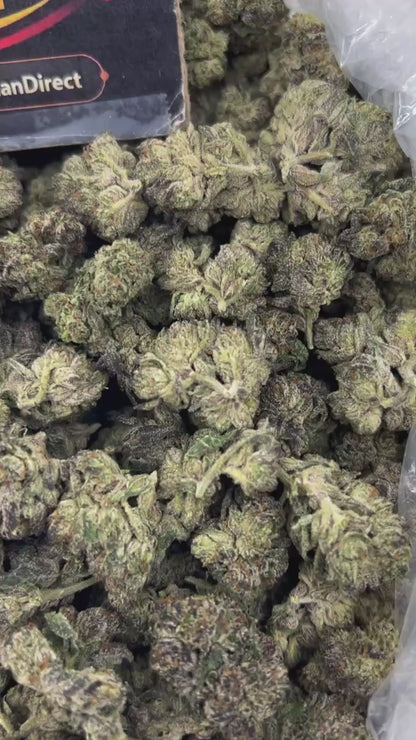 #N-EB305 - Grape Mamba (Hybrid)