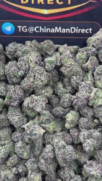 #B-INS009 - Bruce Banner SM (Hybrid)