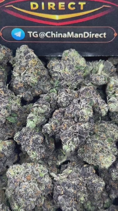 #N-CM1197 - Papaya Cake (Hybrid)