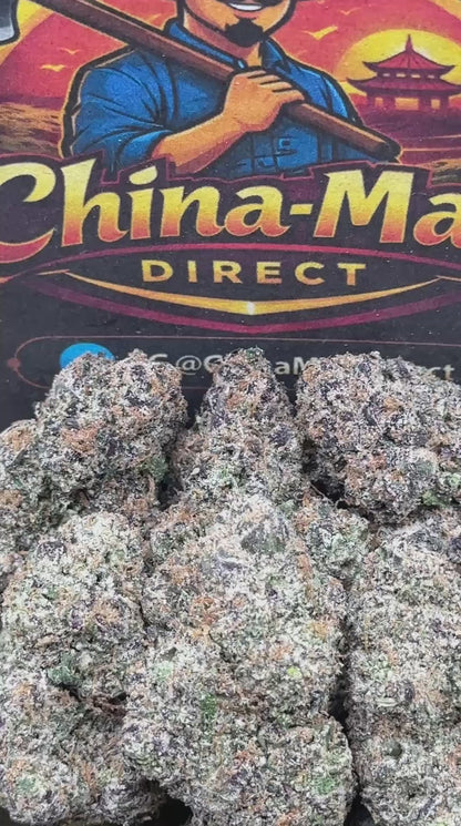 #EA356 - Midnight Sherbet (Hybrid)