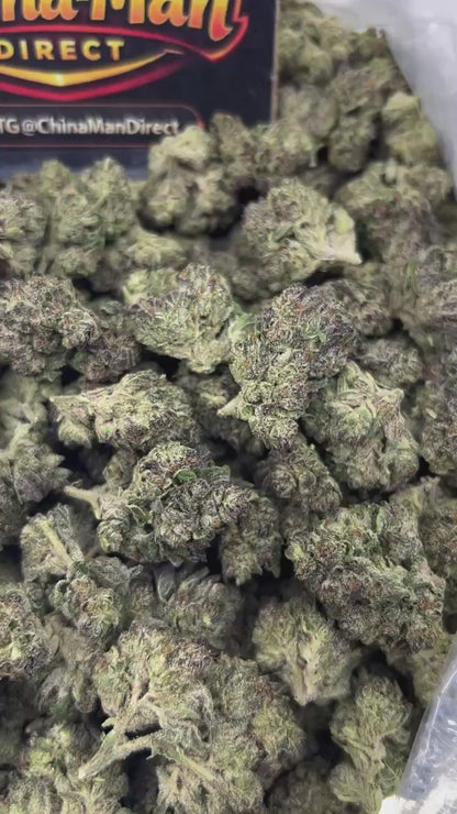 #N-EB303 - Rainbow Sherbet (Hybrid)